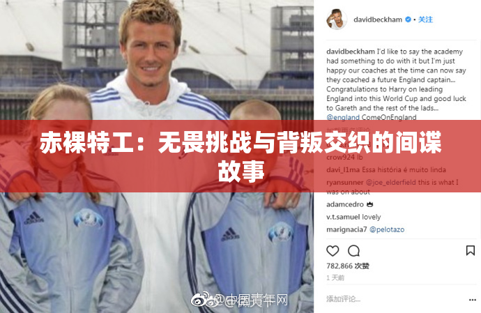 赤裸特工：无畏挑战与背叛交织的间谍故事