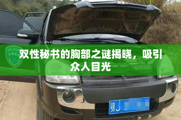 双性秘书的胸部之谜揭晓，吸引众人目光