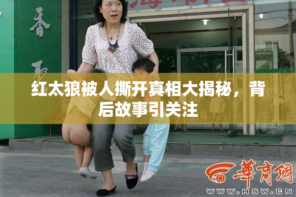 红太狼被人撕开真相大揭秘，背后故事引关注