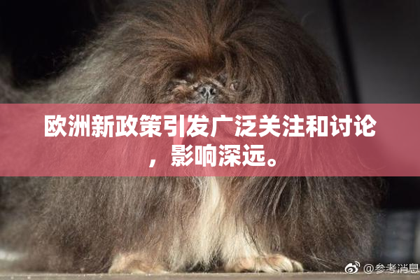 欧洲新政策引发广泛关注和讨论，影响深远。