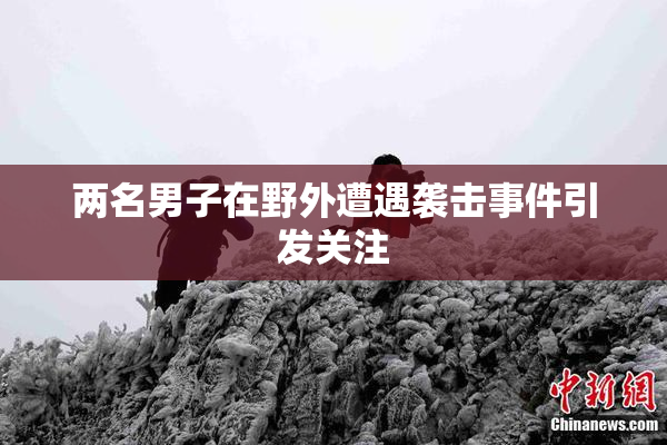 两名男子在野外遭遇袭击事件引发关注