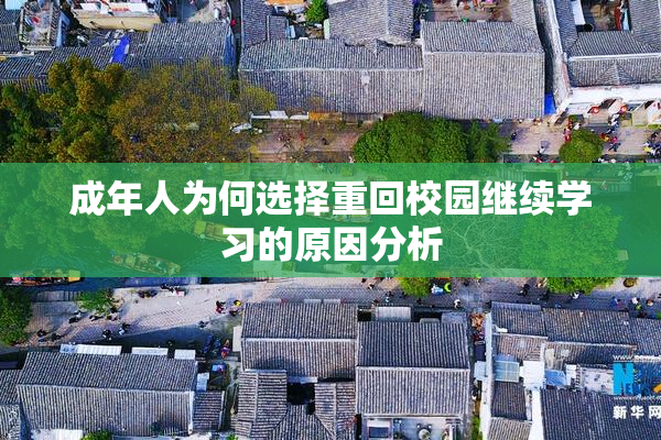 成年人为何选择重回校园继续学习的原因分析
