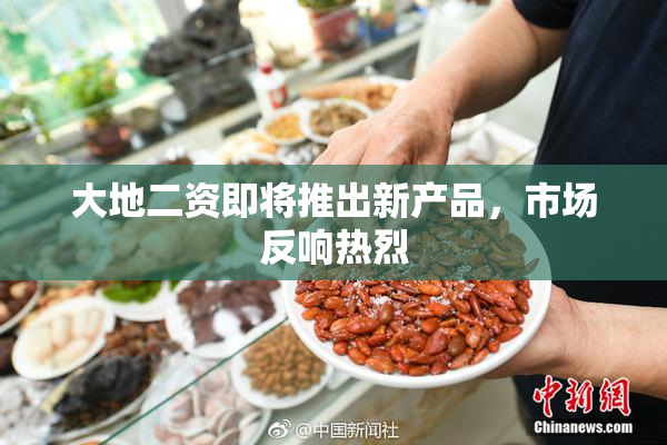 大地二资即将推出新产品，市场反响热烈