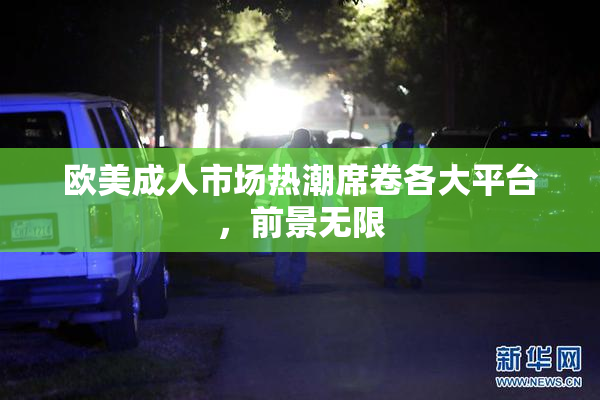 欧美成人市场热潮席卷各大平台，前景无限