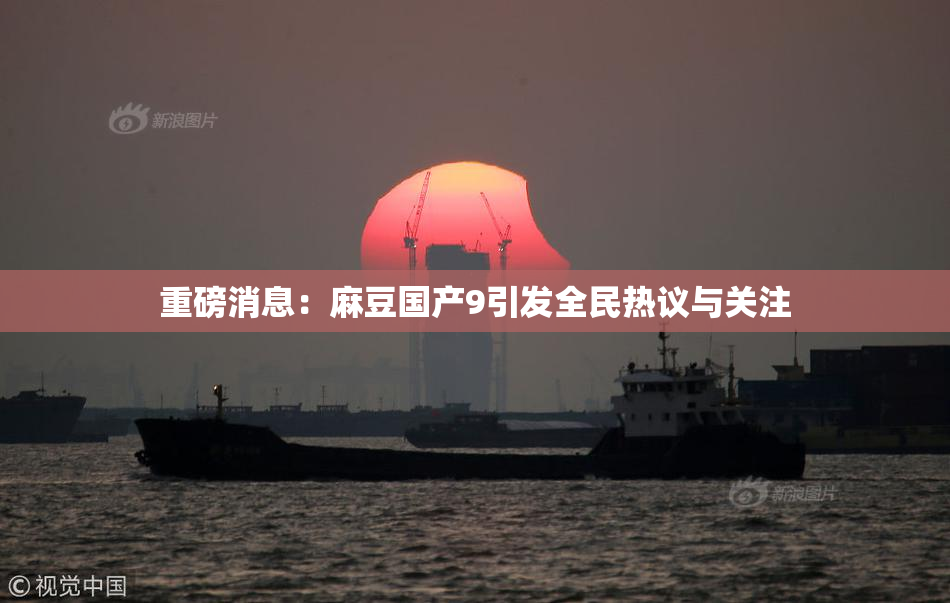重磅消息：麻豆国产9引发全民热议与关注