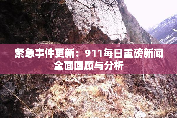 紧急事件更新：911每日重磅新闻全面回顾与分析