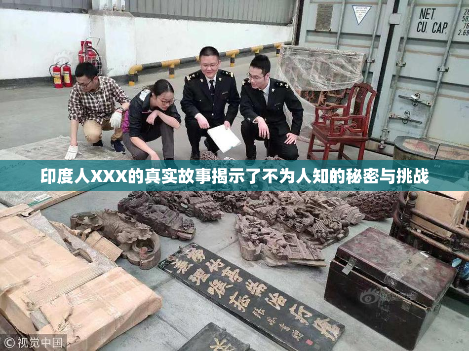 印度人XXX的真实故事揭示了不为人知的秘密与挑战
