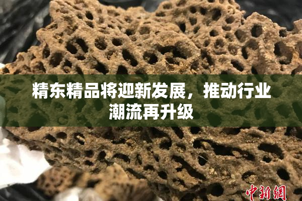 精东精品将迎新发展，推动行业潮流再升级