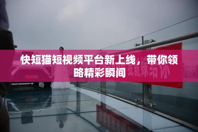 快短猫短视频平台新上线，带你领略精彩瞬间