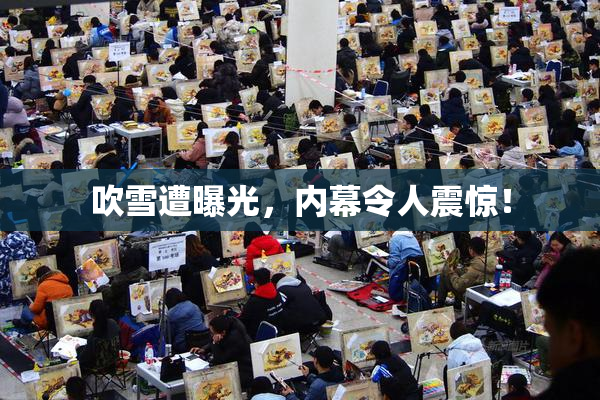 吹雪遭曝光，内幕令人震惊！