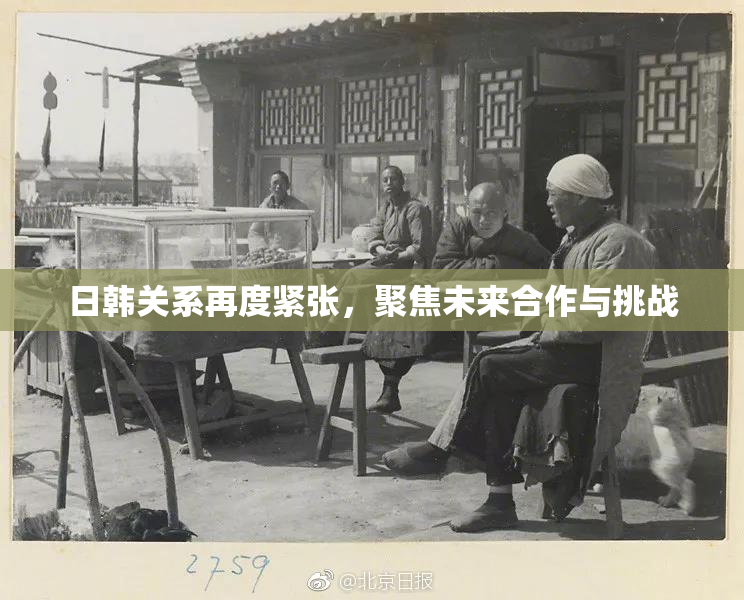 日韩关系再度紧张，聚焦未来合作与挑战