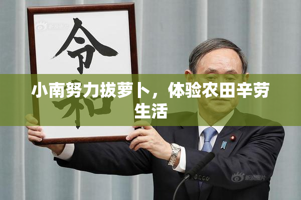 小南努力拔萝卜，体验农田辛劳生活