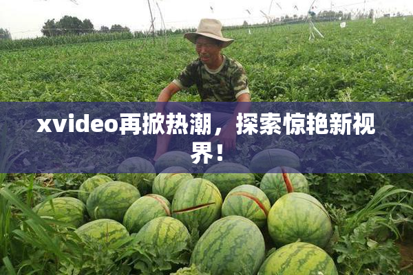 xvideo再掀热潮，探索惊艳新视界！