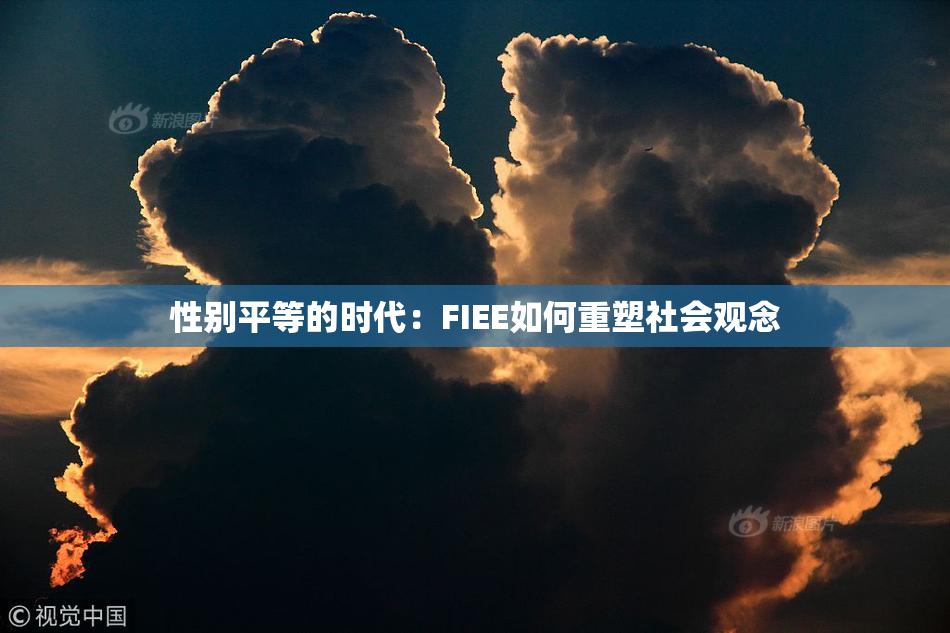 性别平等的时代：FIEE如何重塑社会观念