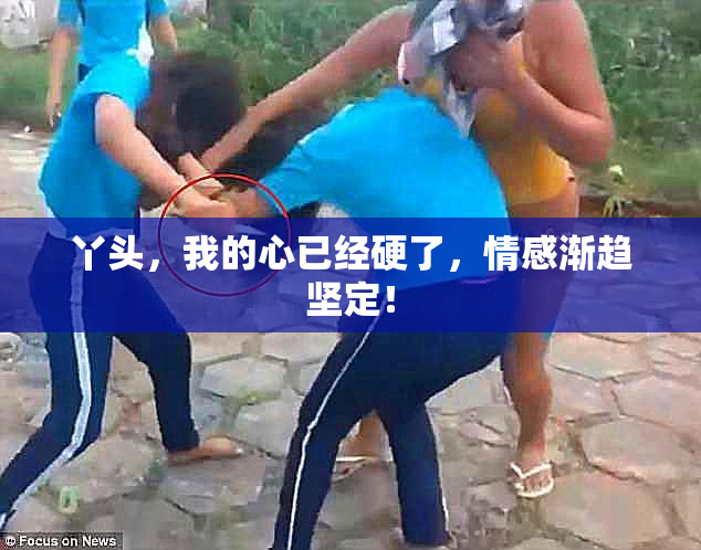 丫头，我的心已经硬了，情感渐趋坚定！