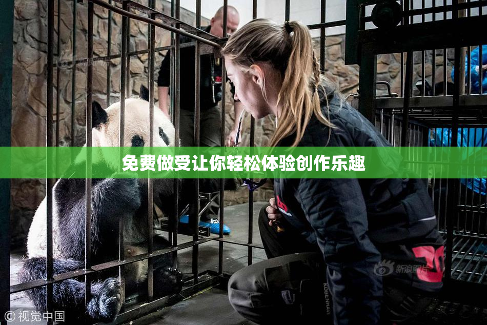 免费做受让你轻松体验创作乐趣