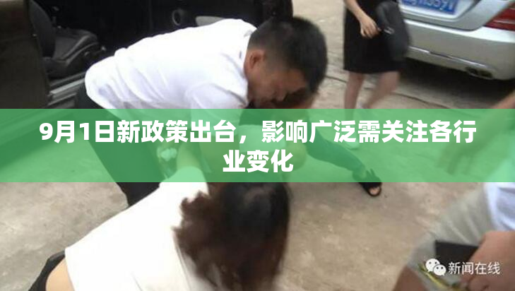 9月1日新政策出台，影响广泛需关注各行业变化