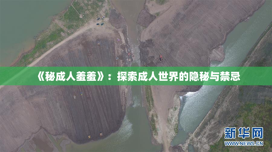 《秘成人羞羞》：探索成人世界的隐秘与禁忌