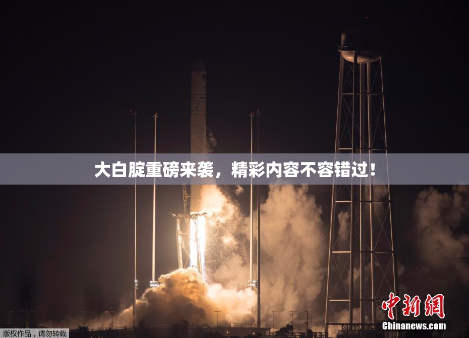大白腚重磅来袭，精彩内容不容错过！