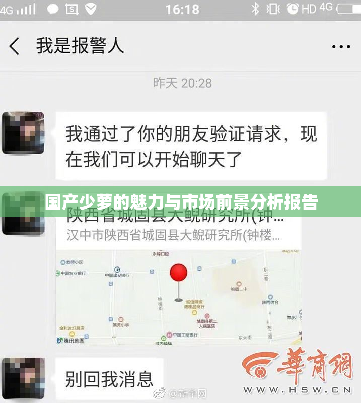 国产少萝的魅力与市场前景分析报告