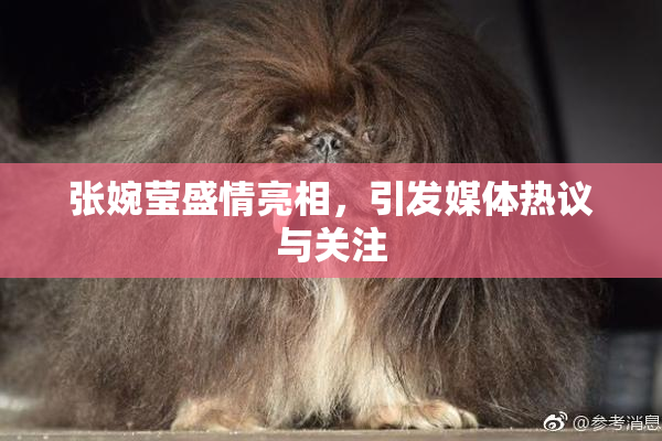 张婉莹盛情亮相，引发媒体热议与关注