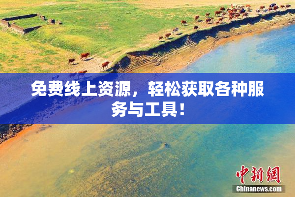 免费线上资源，轻松获取各种服务与工具！