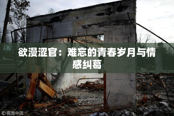 欲漫涩官：难忘的青春岁月与情感纠葛