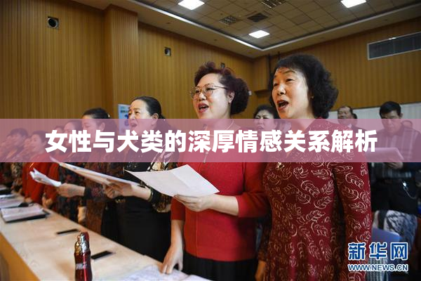 女性与犬类的深厚情感关系解析