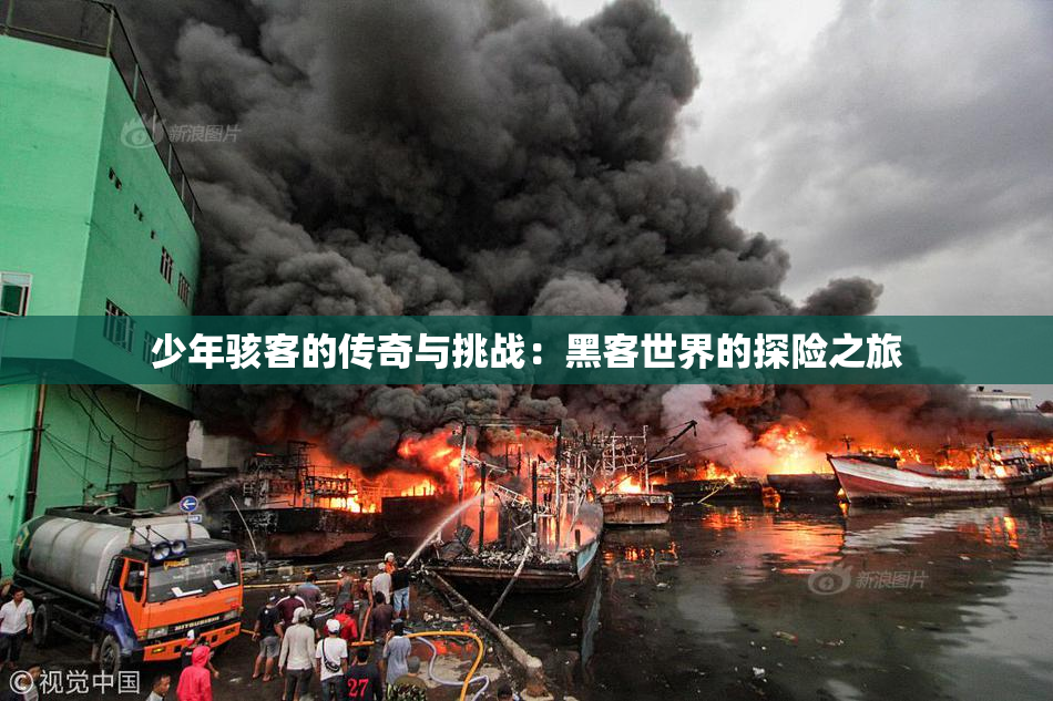 少年骇客的传奇与挑战：黑客世界的探险之旅