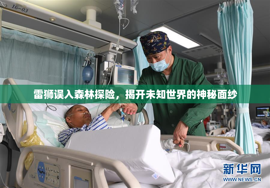 雷狮误入森林探险，揭开未知世界的神秘面纱