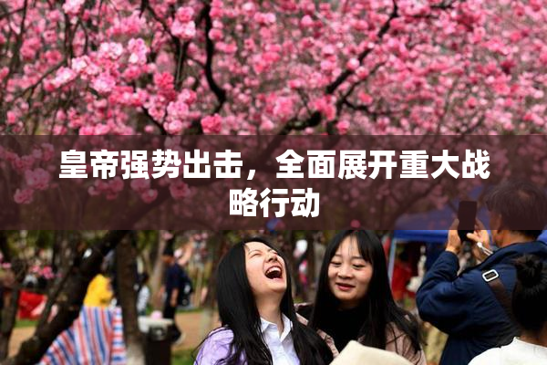 皇帝强势出击，全面展开重大战略行动