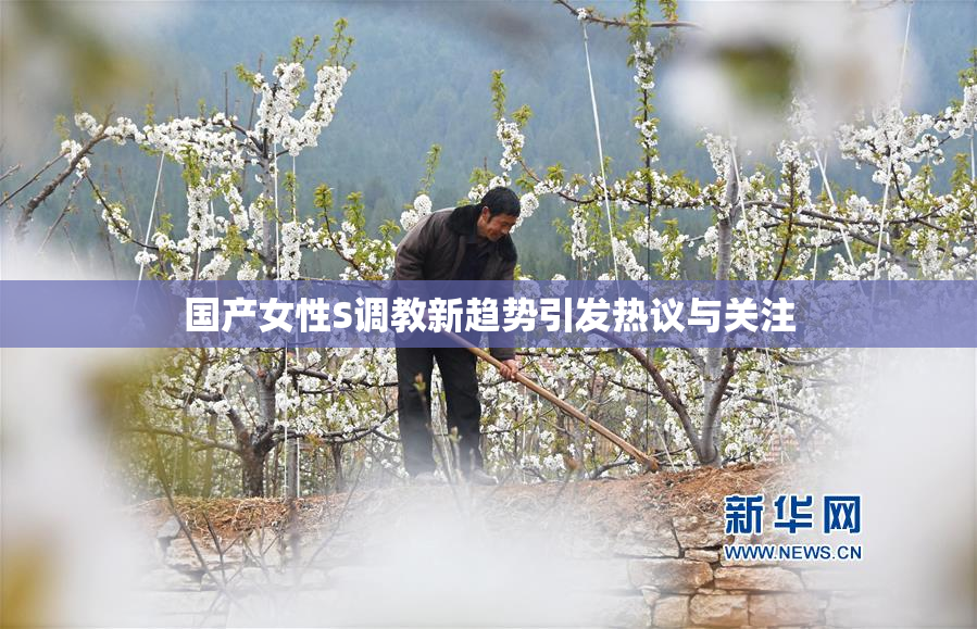 国产女性S调教新趋势引发热议与关注