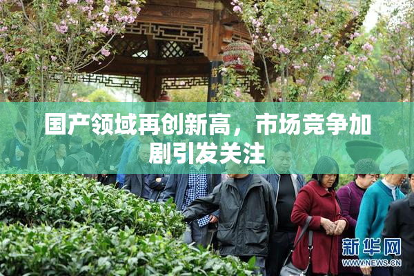 国产领域再创新高，市场竞争加剧引发关注