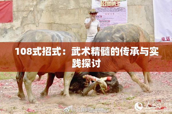 108式招式：武术精髓的传承与实践探讨