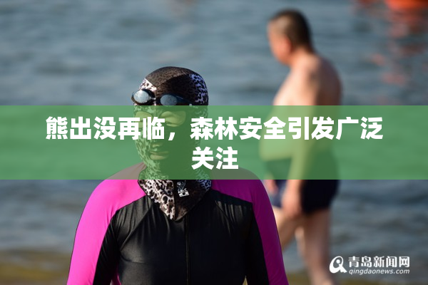 熊出没再临，森林安全引发广泛关注