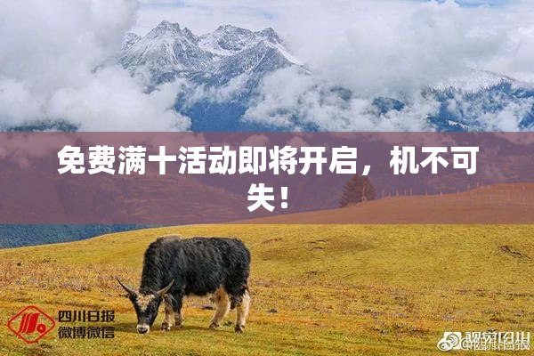 免费满十活动即将开启，机不可失！