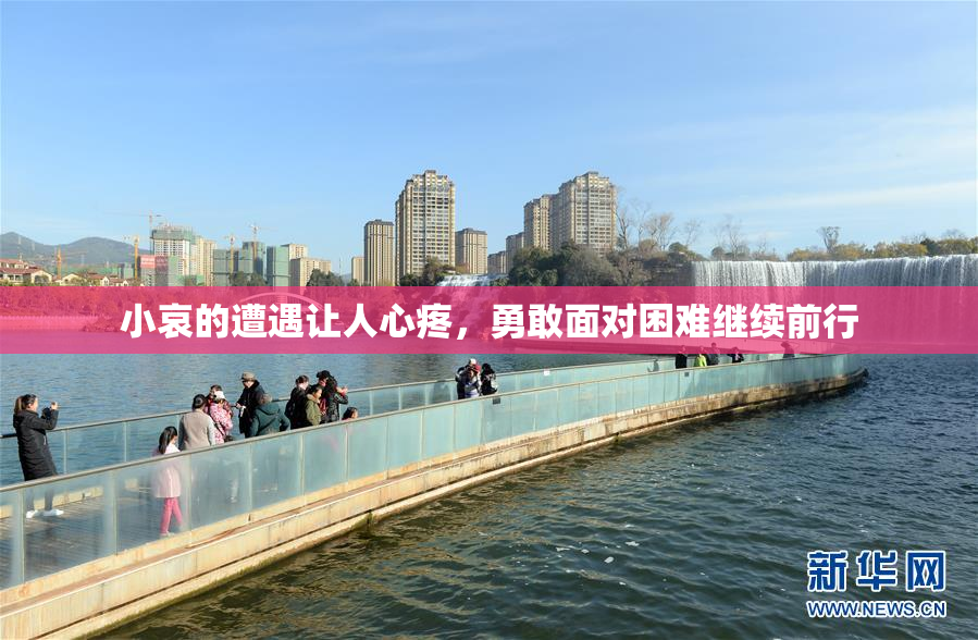 小哀的遭遇让人心疼，勇敢面对困难继续前行