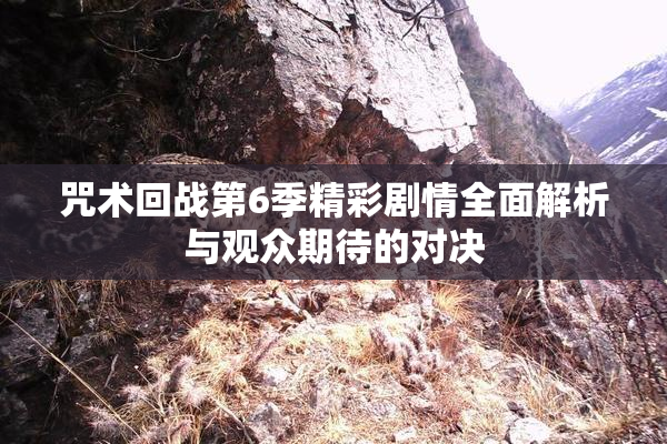 咒术回战第6季精彩剧情全面解析与观众期待的对决