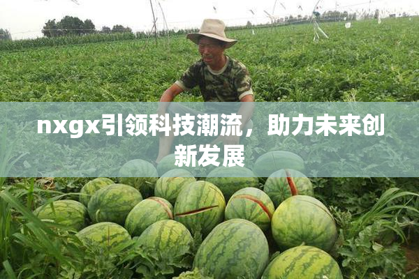 nxgx引领科技潮流，助力未来创新发展