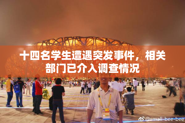 十四名学生遭遇突发事件，相关部门已介入调查情况