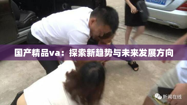 国产精品va：探索新趋势与未来发展方向