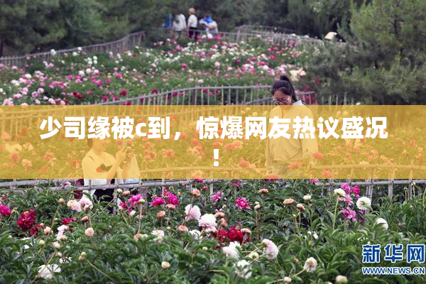 少司缘被c到，惊爆网友热议盛况！