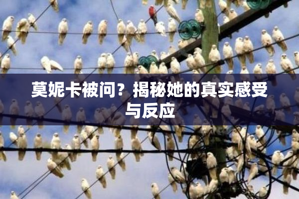 莫妮卡被问？揭秘她的真实感受与反应