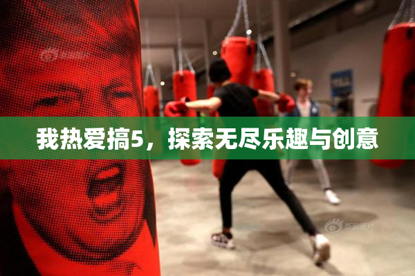 我热爱搞5，探索无尽乐趣与创意