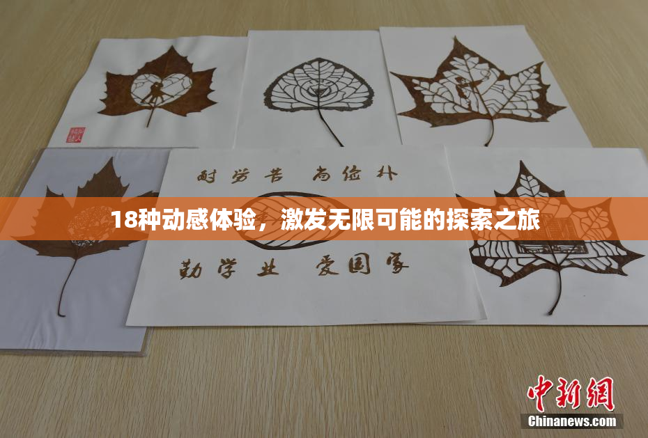18种动感体验，激发无限可能的探索之旅