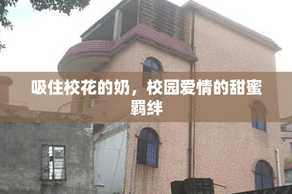 吸住校花的奶，校园爱情的甜蜜羁绊