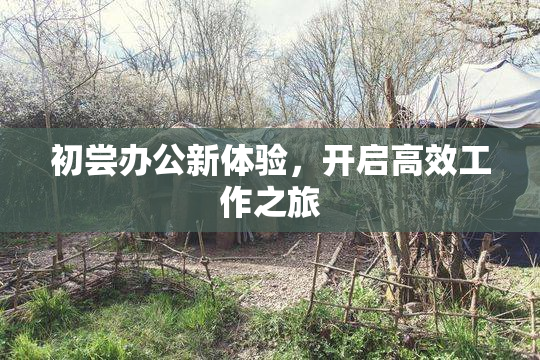 初尝办公新体验，开启高效工作之旅