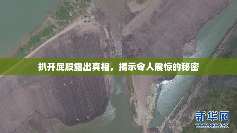 扒开屁股露出真相，揭示令人震惊的秘密