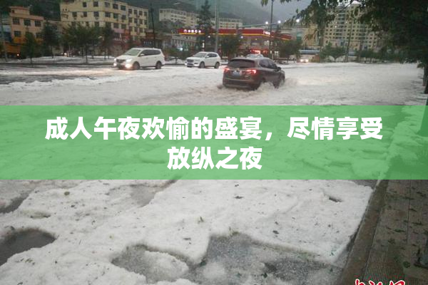 成人午夜欢愉的盛宴，尽情享受放纵之夜