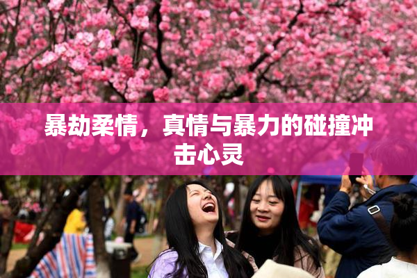 暴劫柔情，真情与暴力的碰撞冲击心灵
